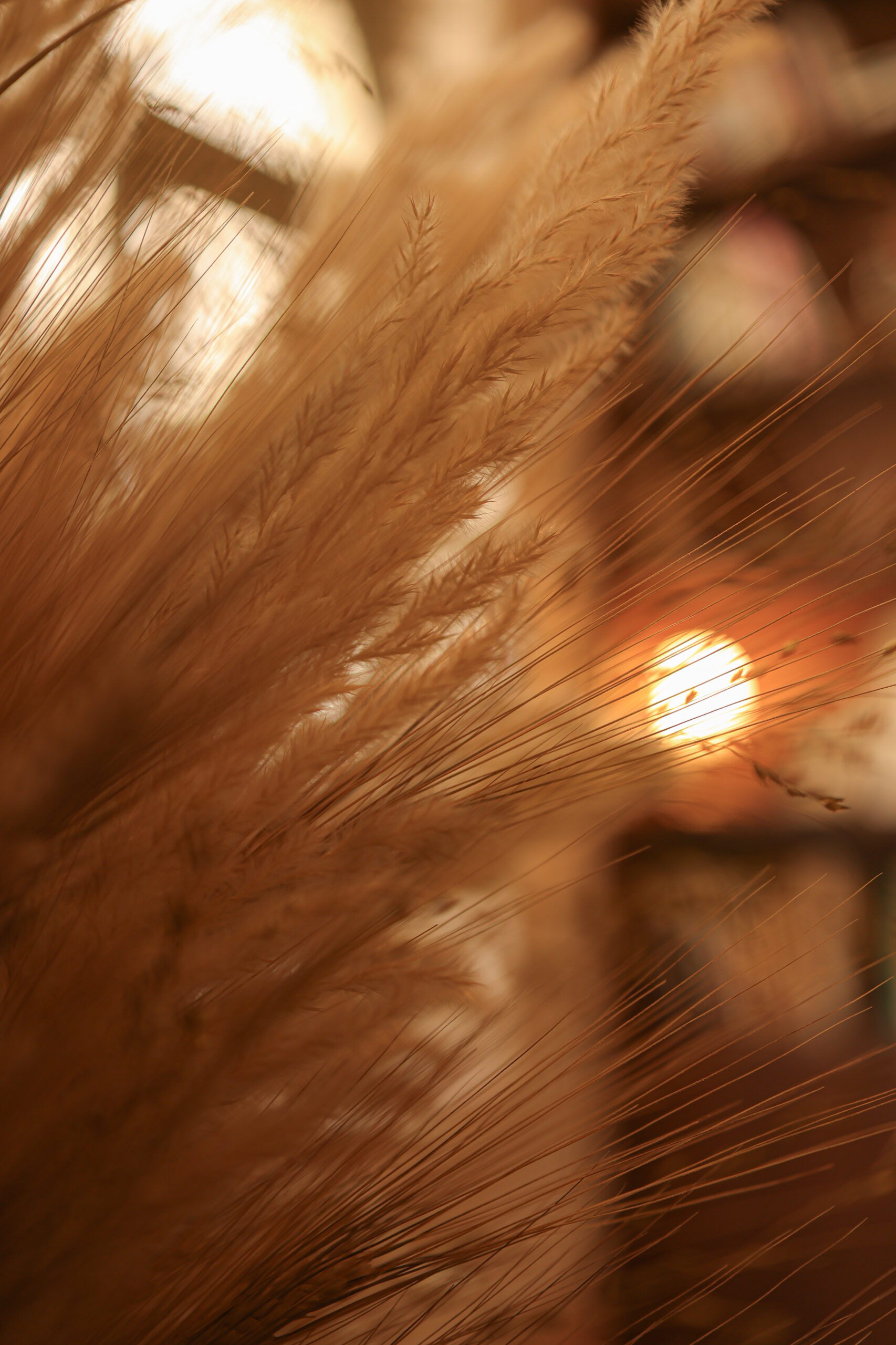 fl_hôtel_du_couvent_23