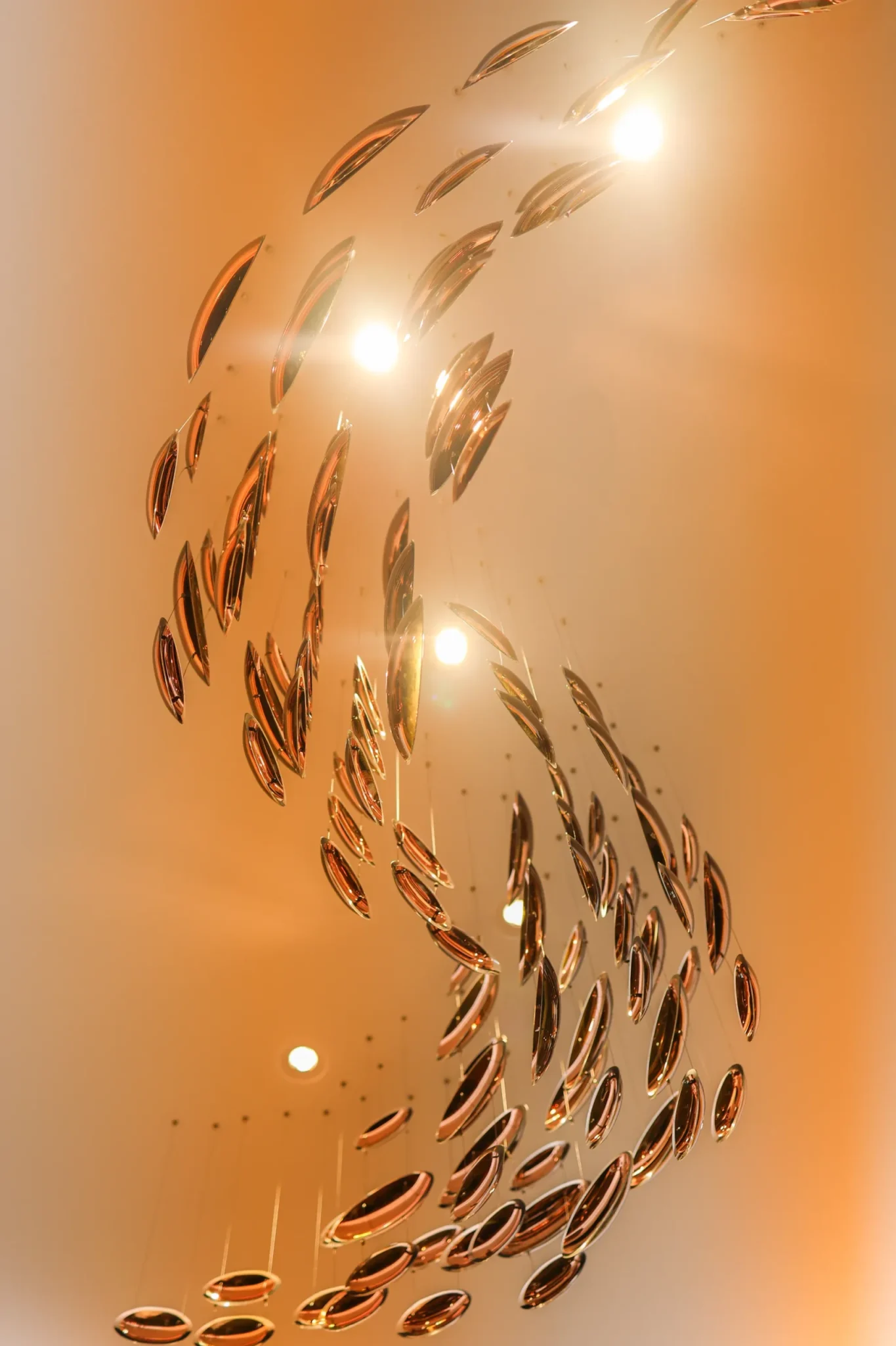 fl_mo_luzern_24