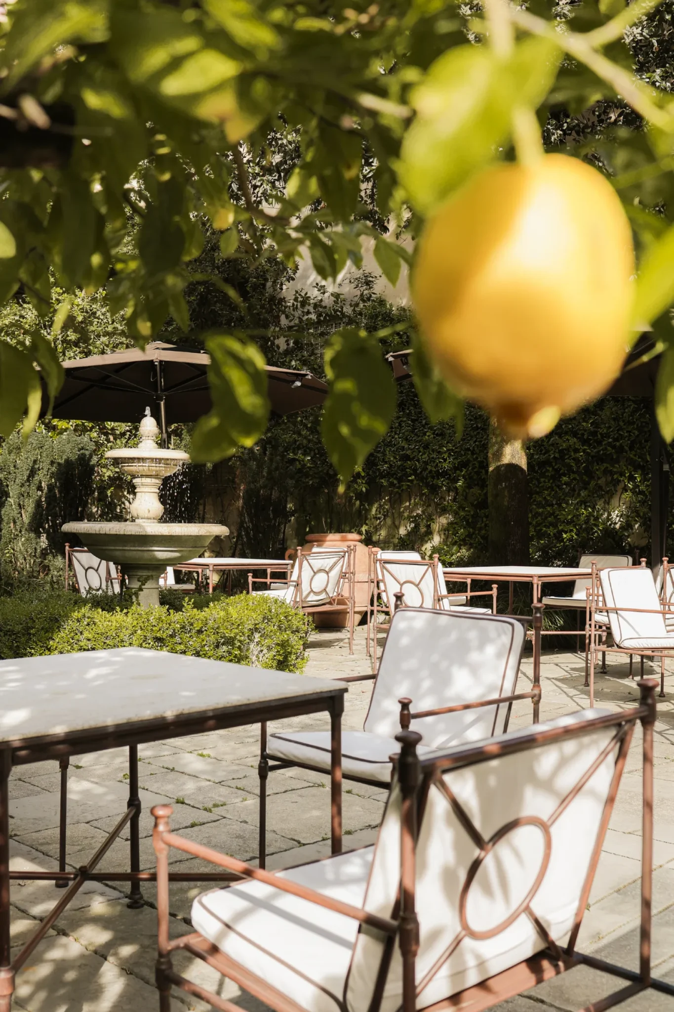 fl_regency_firenze_12