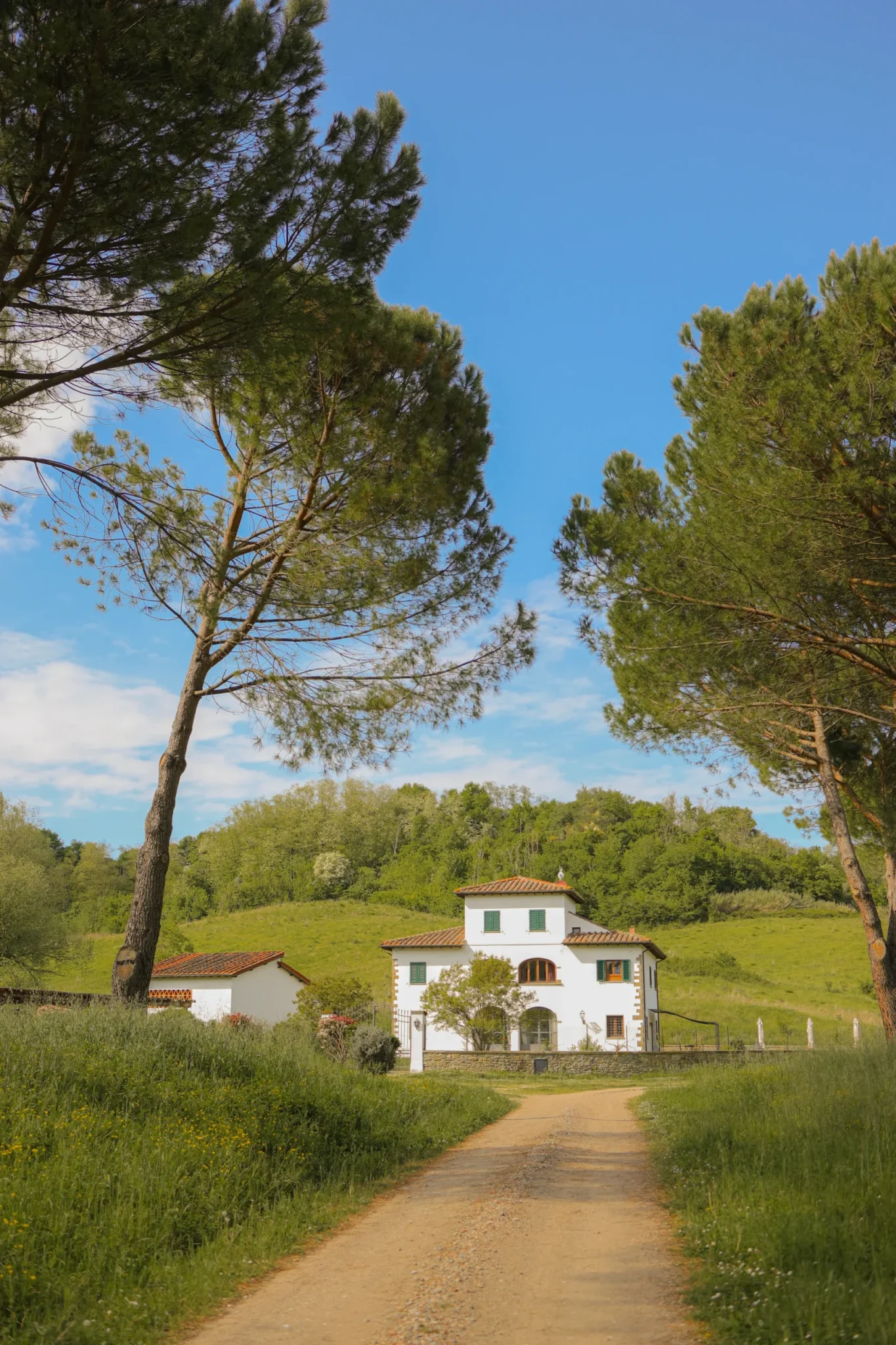 fl_viesca_toscana_06