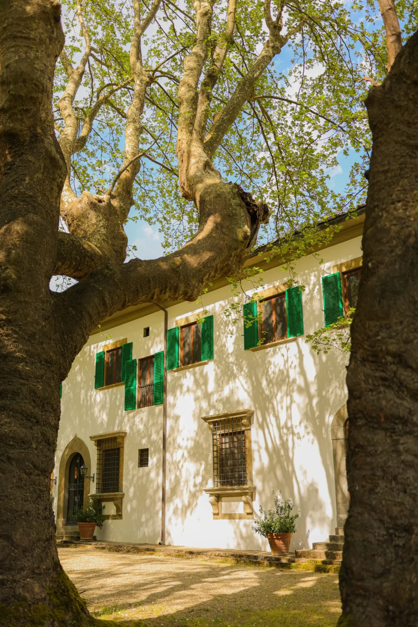 fl_viesca_toscana_10